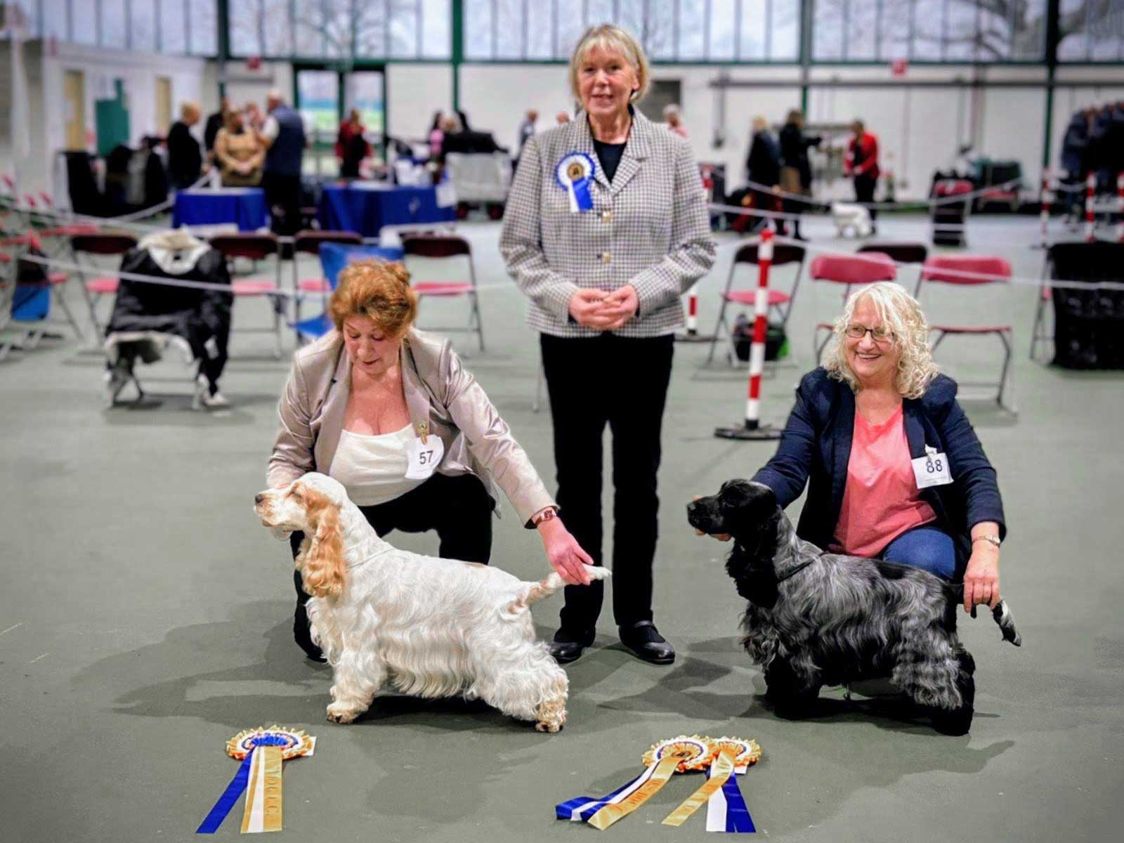 Dog CC and Dog Reserve CC - February 2026 Championship Show